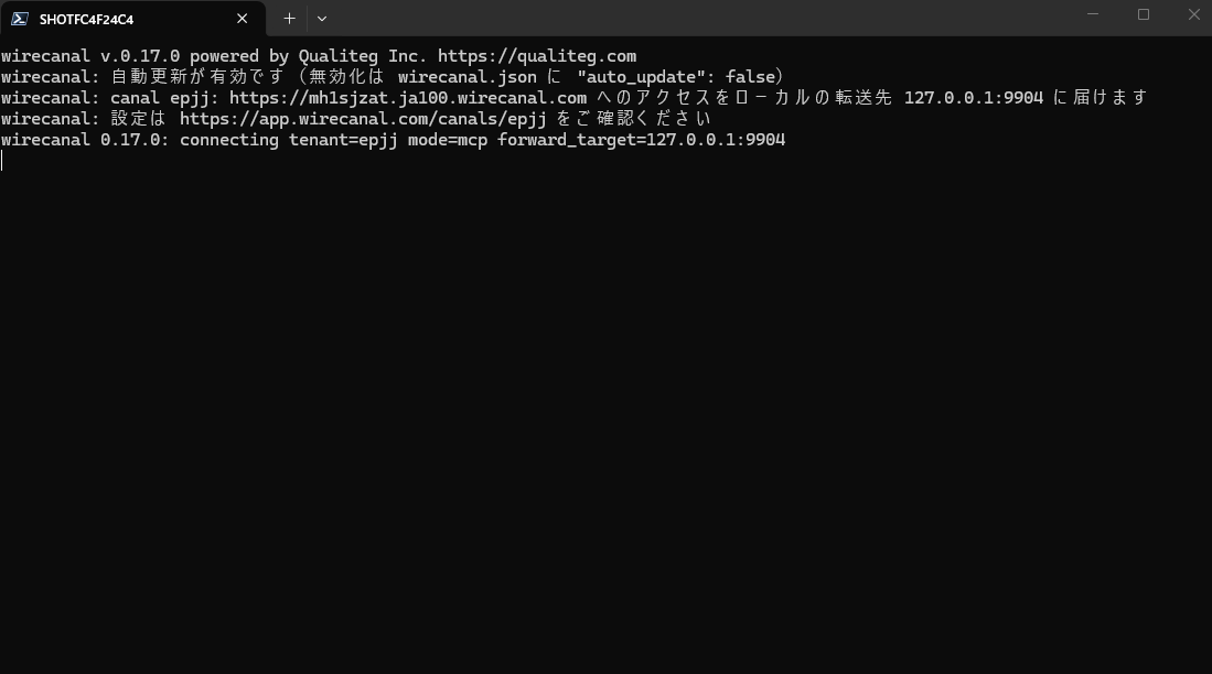 The Agent's startup log. It reports that access to the public URL will be delivered to 127.0.0.1:9904