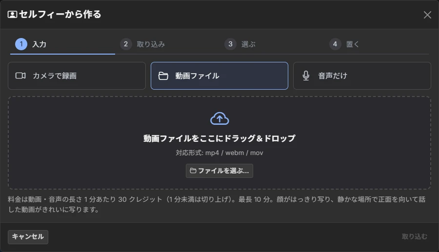 Selfie input screen: record, import a video file, or import audio