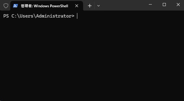 An Easy Way to Install Windows Terminal on Windows Server 2022 Datacenter Edition