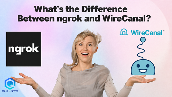 What Sets ngrok and WireCanal Apart? The Developers Compare Pricing, Operations, and MCP Design