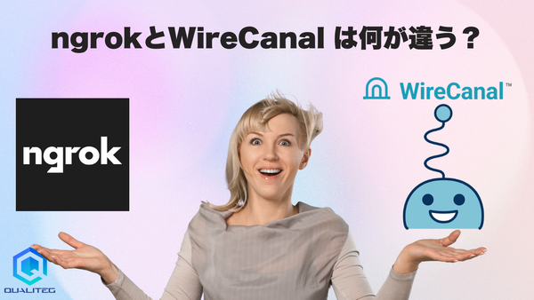 What Sets ngrok and WireCanal Apart? The Developers Compare Pricing, Operations, and MCP Design